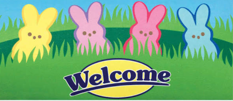 Welcome Peeps switch mat