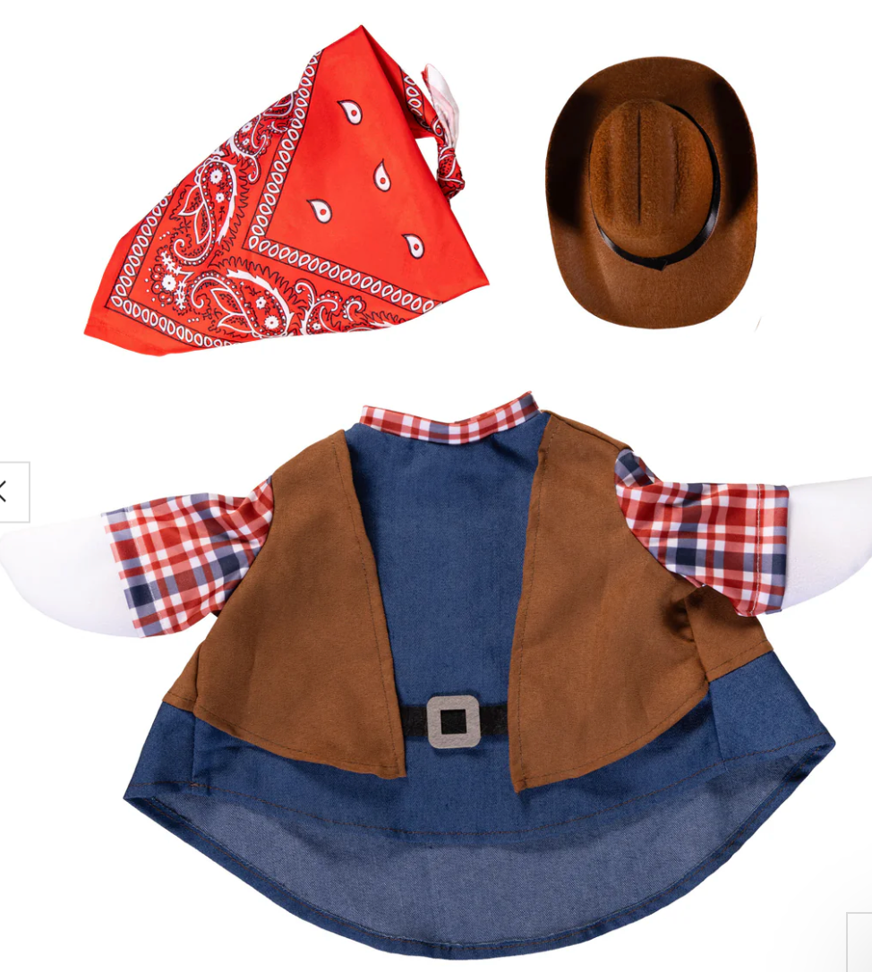 Wild West Goose Outfit