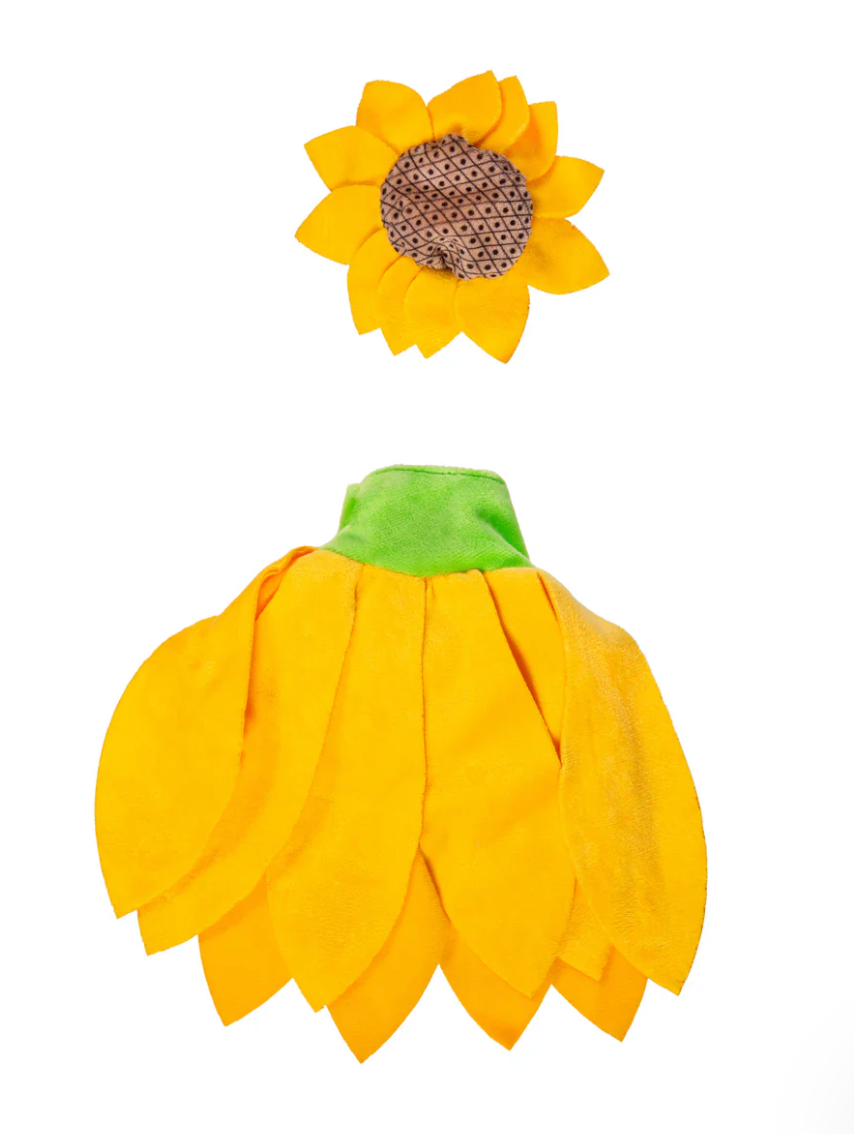 Sunflower Goose Outfit