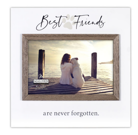 Best Friends are never forgotten frame