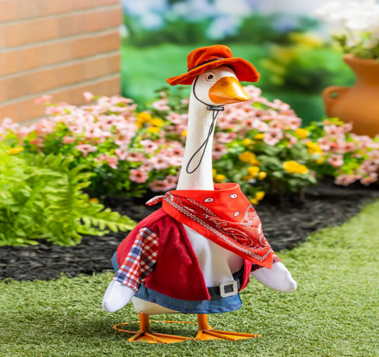 Wild West Goose Outfit