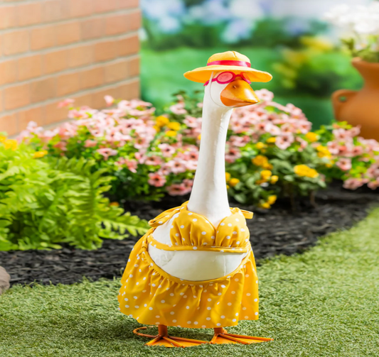 Swimwear Goose Outfit