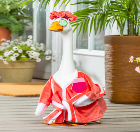Relaxation Time Goose Outfit