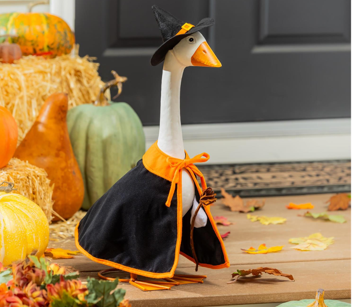Goose Outfit, Witch
