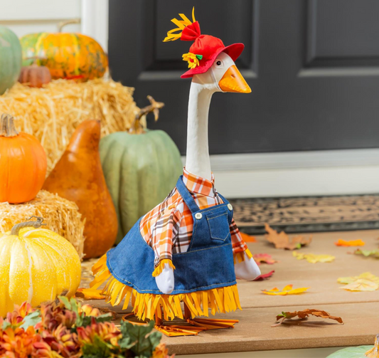 Goose Outfit, Scarecrow