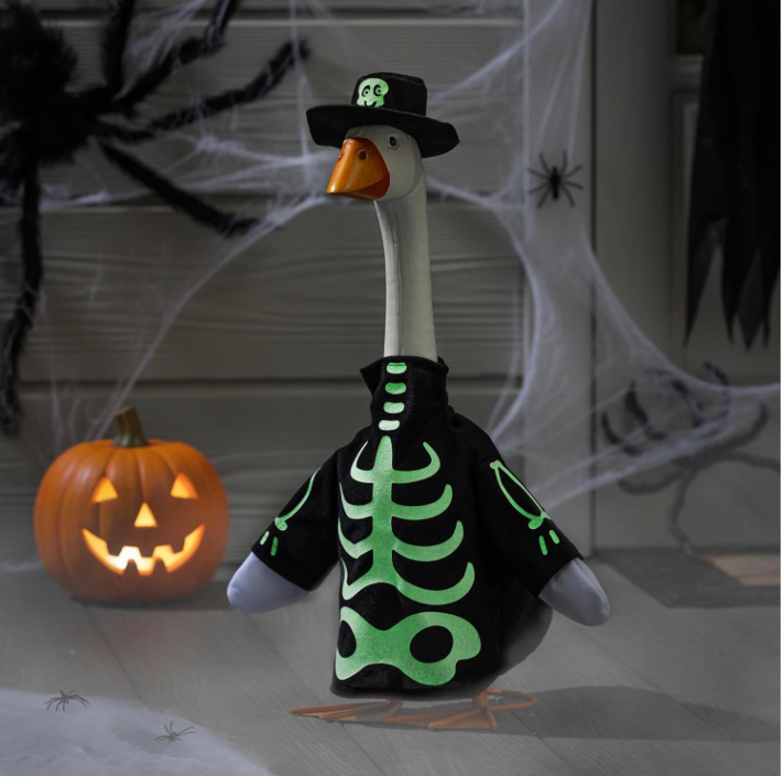 Goose Outfit, Skeleton Glow in the dark