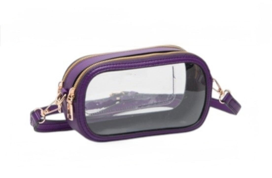 Purple Clear Oblong Purse