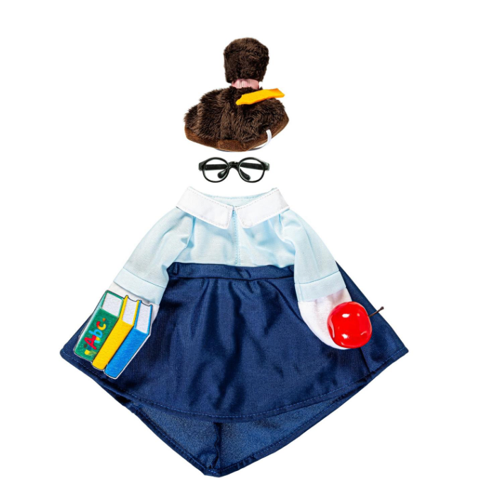 Giddy The Goose Teacher Outfit
