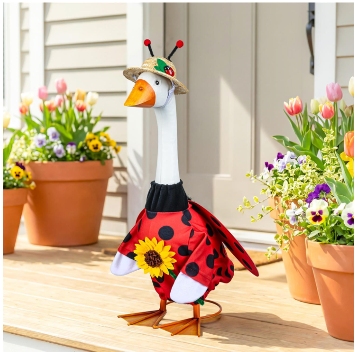 Giddy The Goose, Lady Bug Outfit