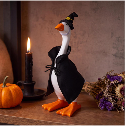 Gordy The Desktop Goose, Witch Outfit