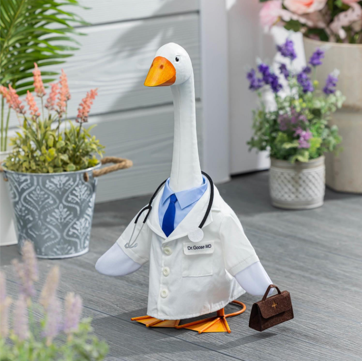 Giddy The Porch Goose, Doctor Outfit