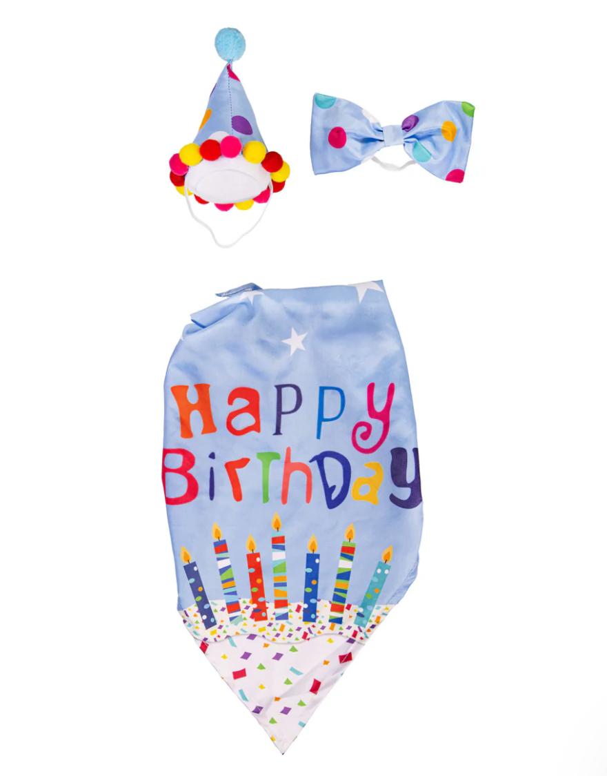 Birthday Goose Outfit