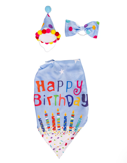 Birthday Goose Outfit