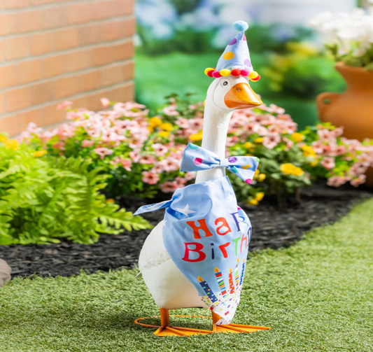 Birthday Goose Outfit