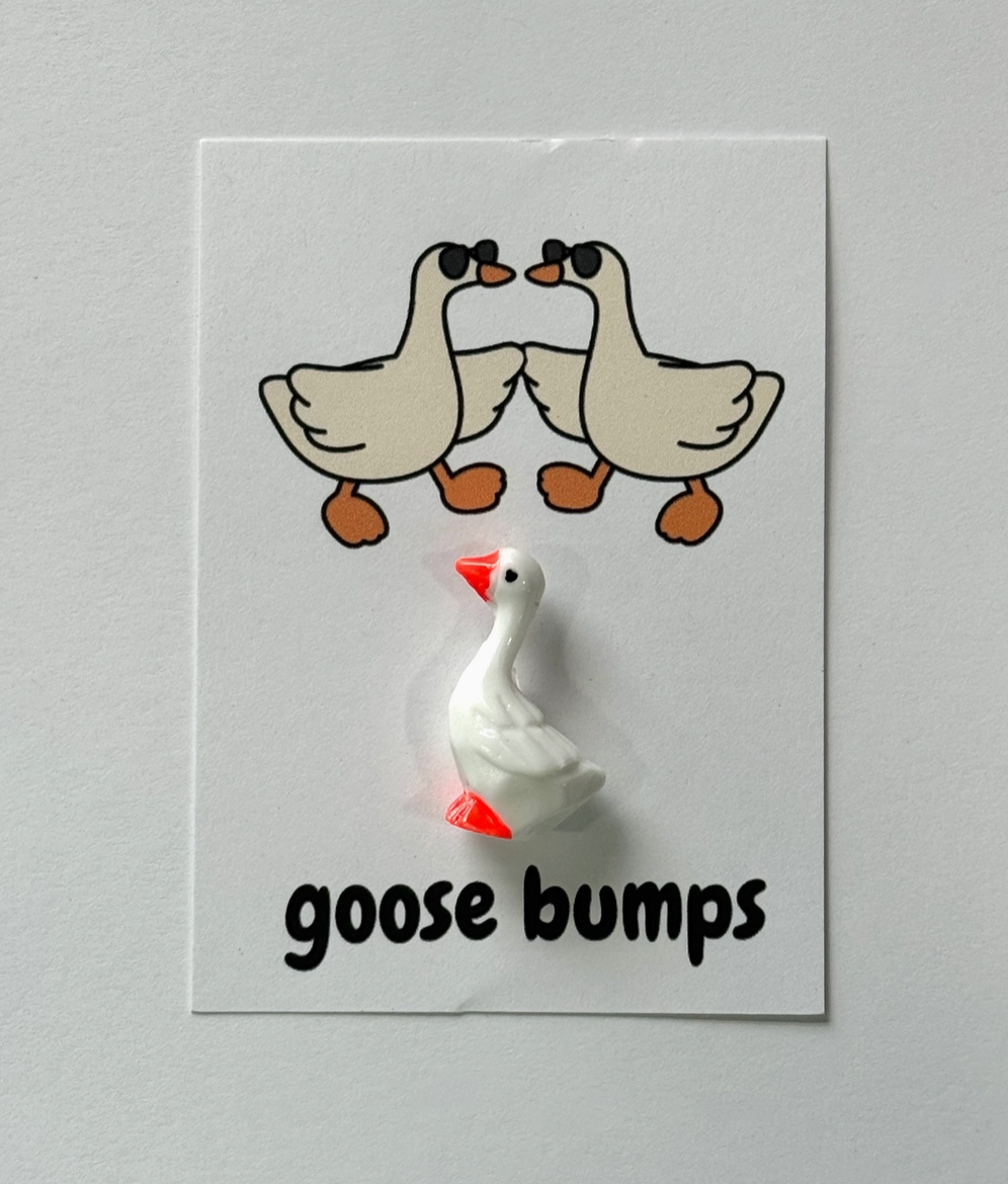 Baby Goose with a card