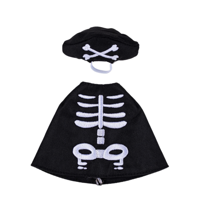 Gordy the Desktop Goose, Skeleton Outfit