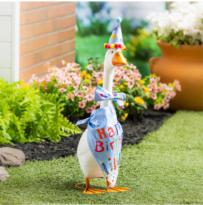 Giddy The Goose Birthday Outfits