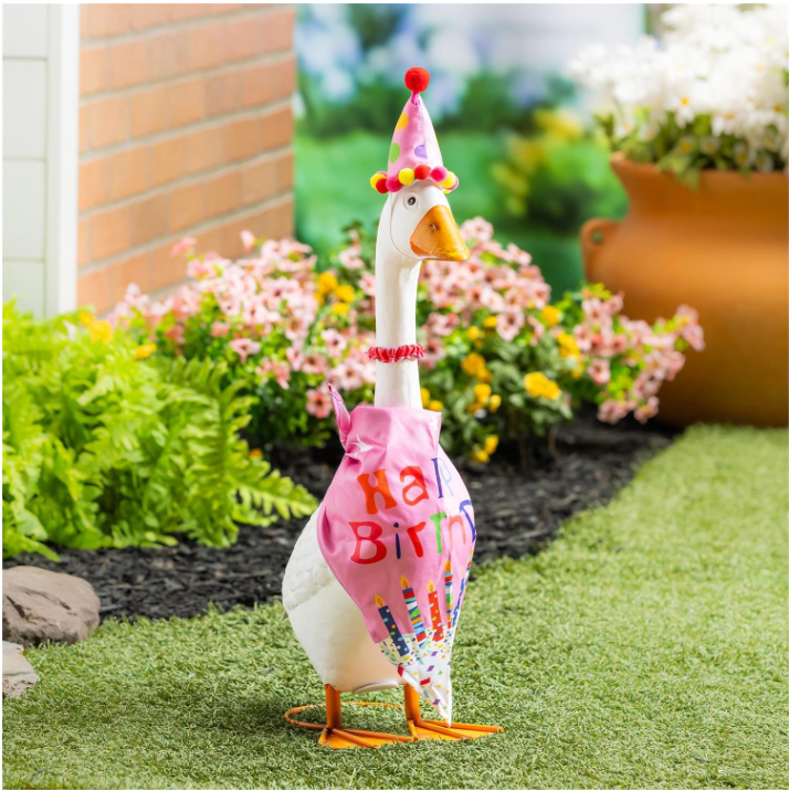 Giddy The Goose Birthday Outfits